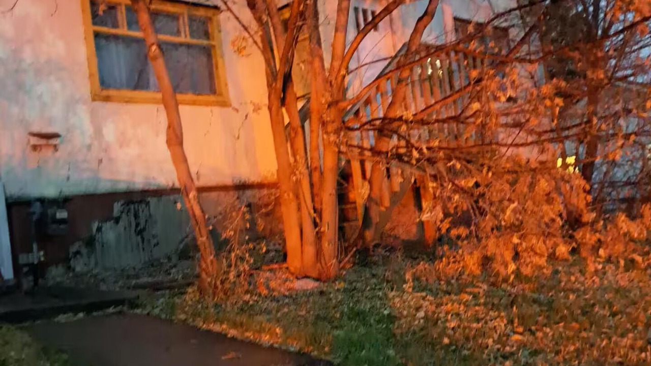 Photo of Outdoor in Bridgeland