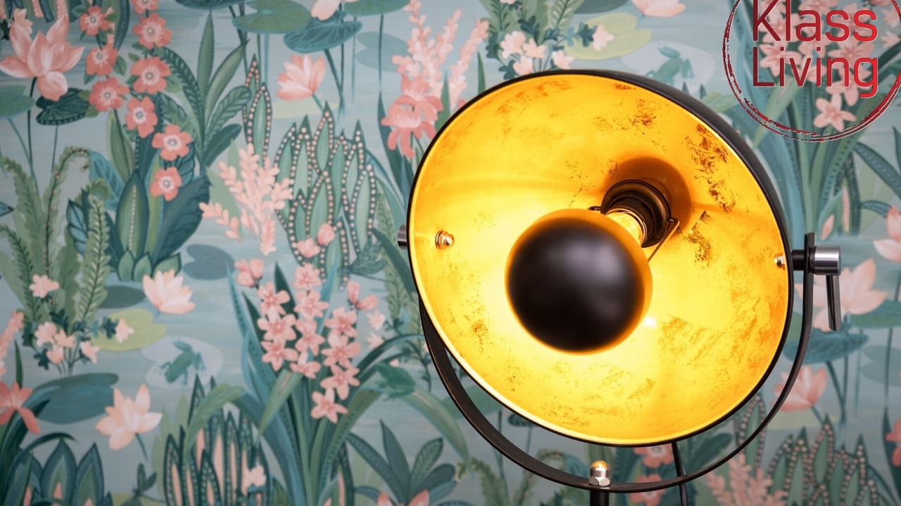 Photo of Others in Coatbridge