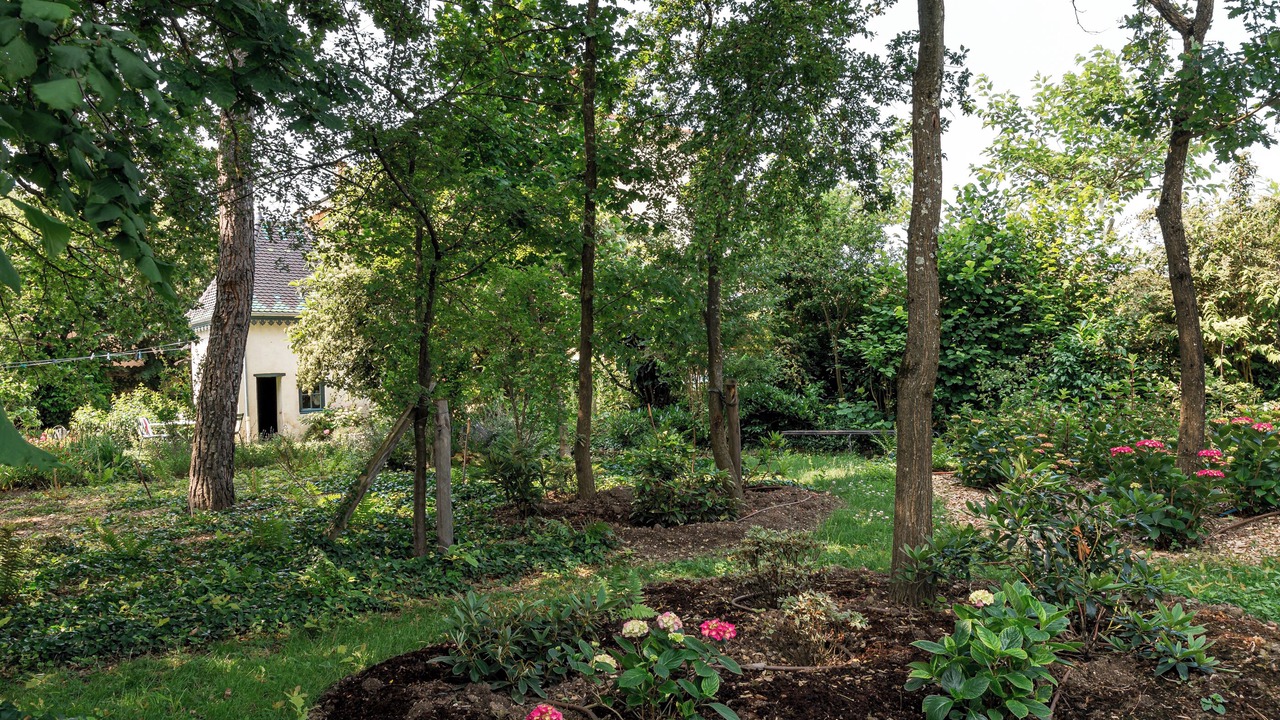 Photo of Outdoor in Lancie