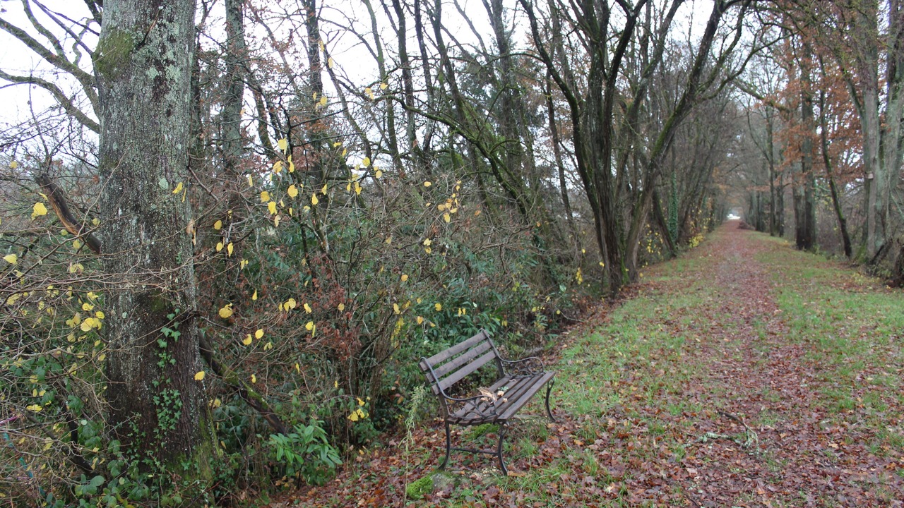 Photo of Others in Brinon-sur-Sauldre