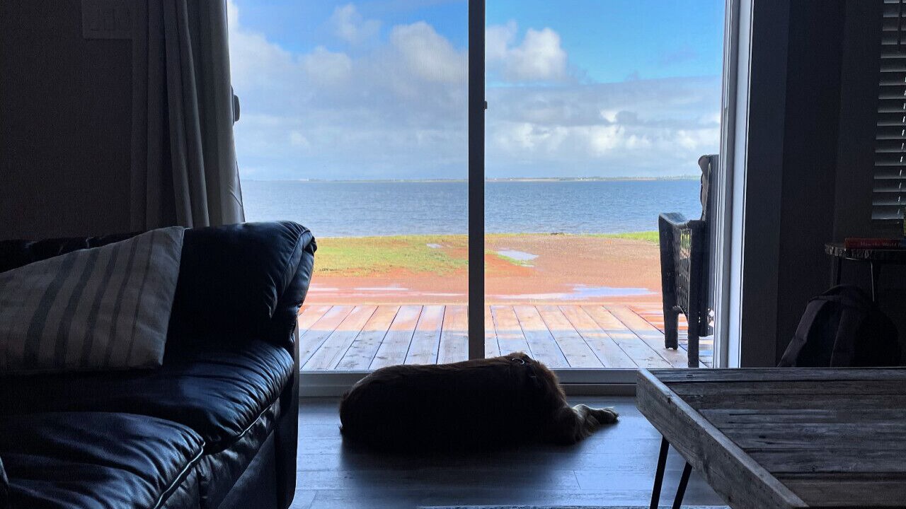 Photo of Livingroom in Summerside