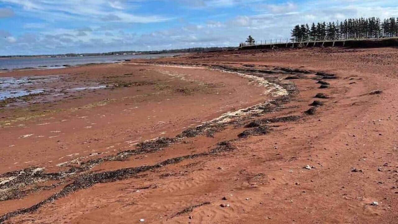 Photo of Others in Summerside