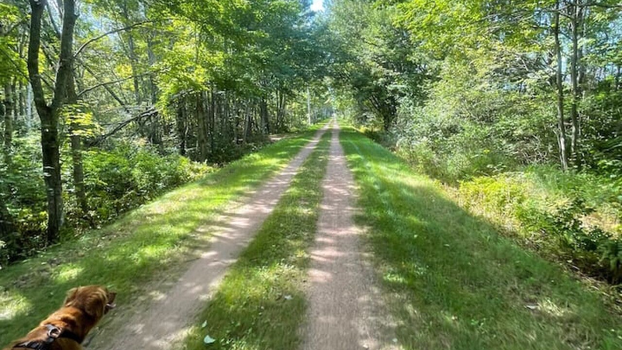 Photo of Others in Summerside