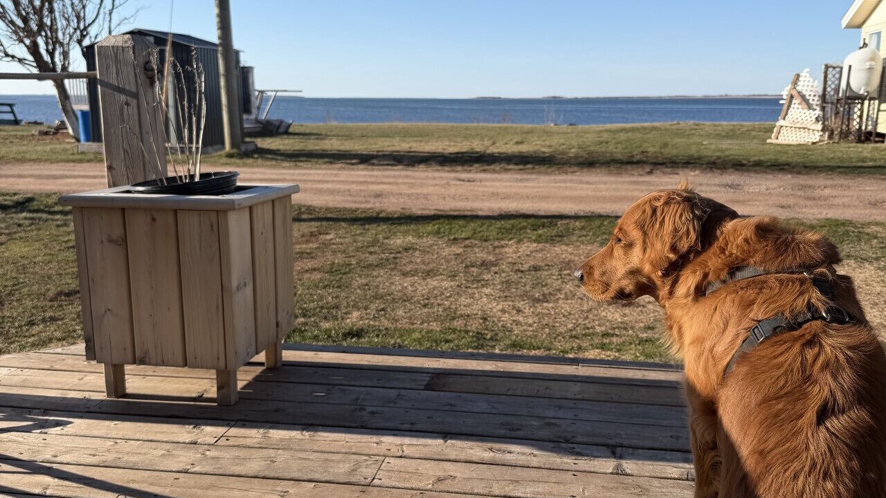 Photo of Others in Summerside