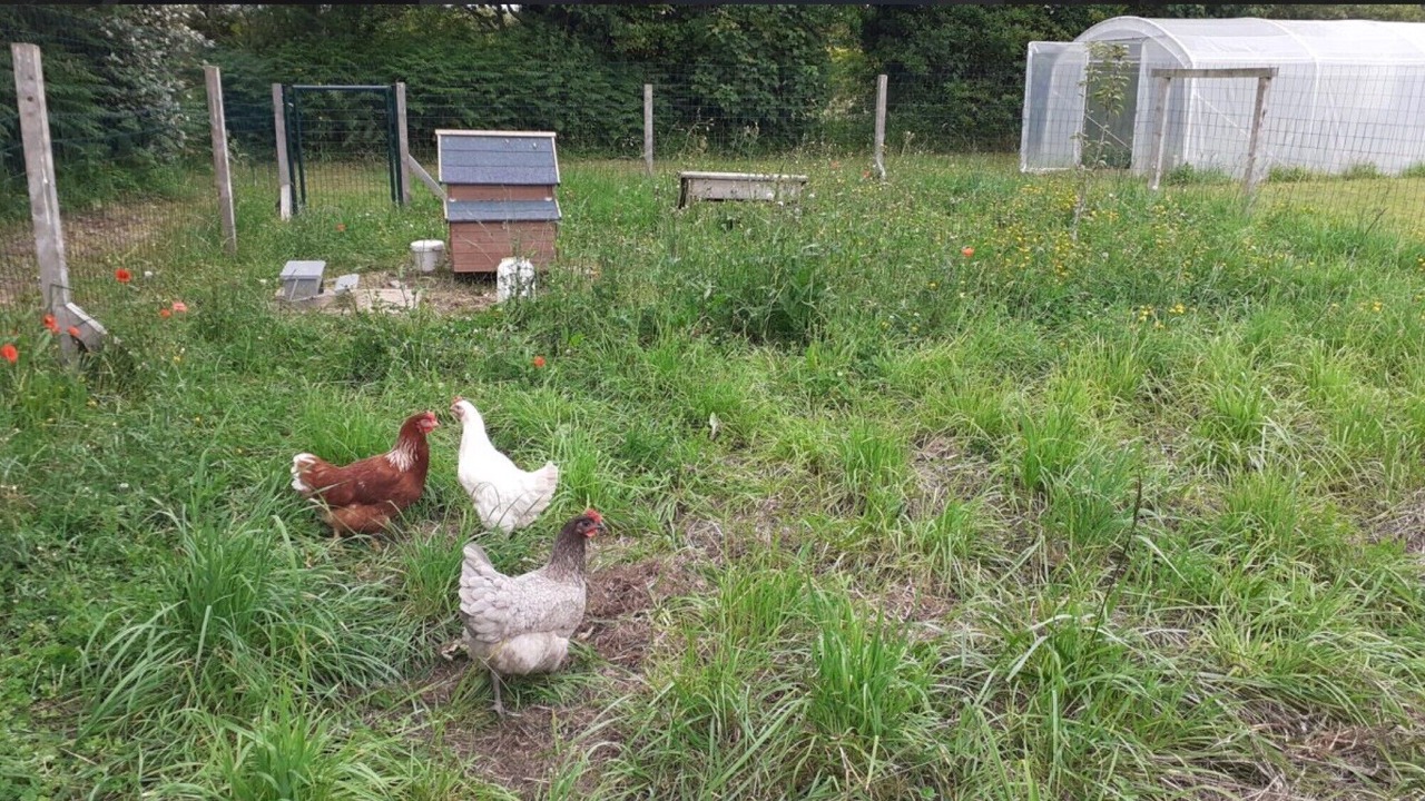 Photo of Others in Plouhinec