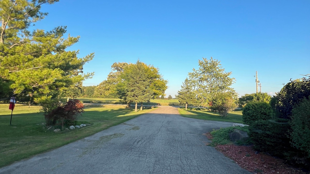 Photo of Others in Welland