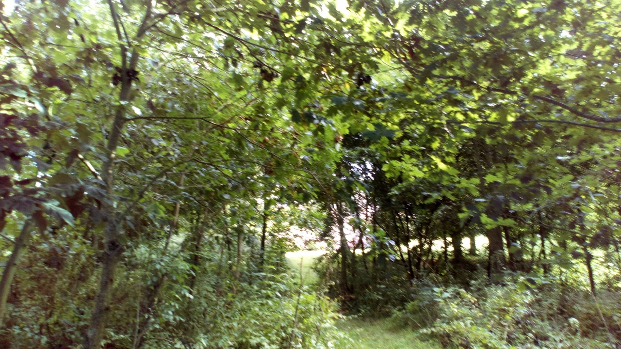 Photo of Others in Plougasnou