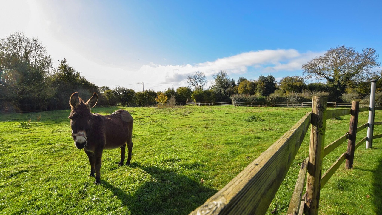 Photo of Others in Bonneville-la-Louvet