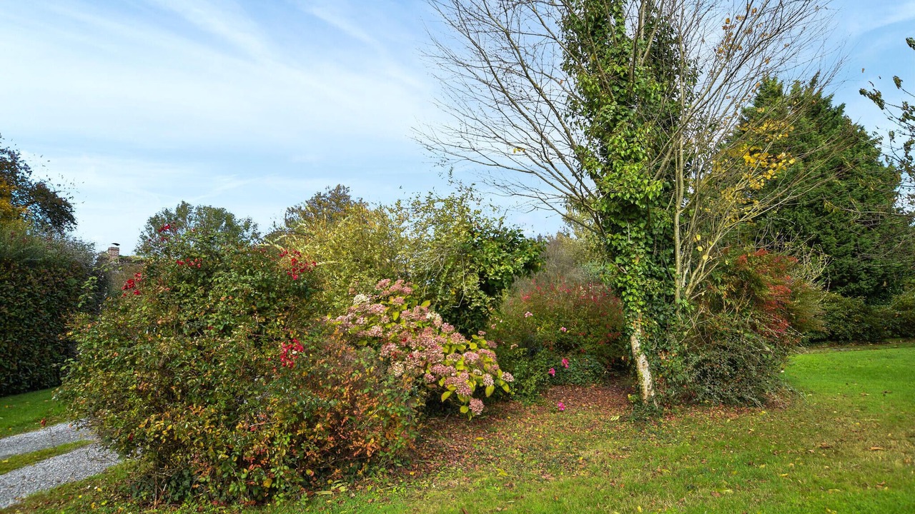 Photo of Others in Bonneville-la-Louvet