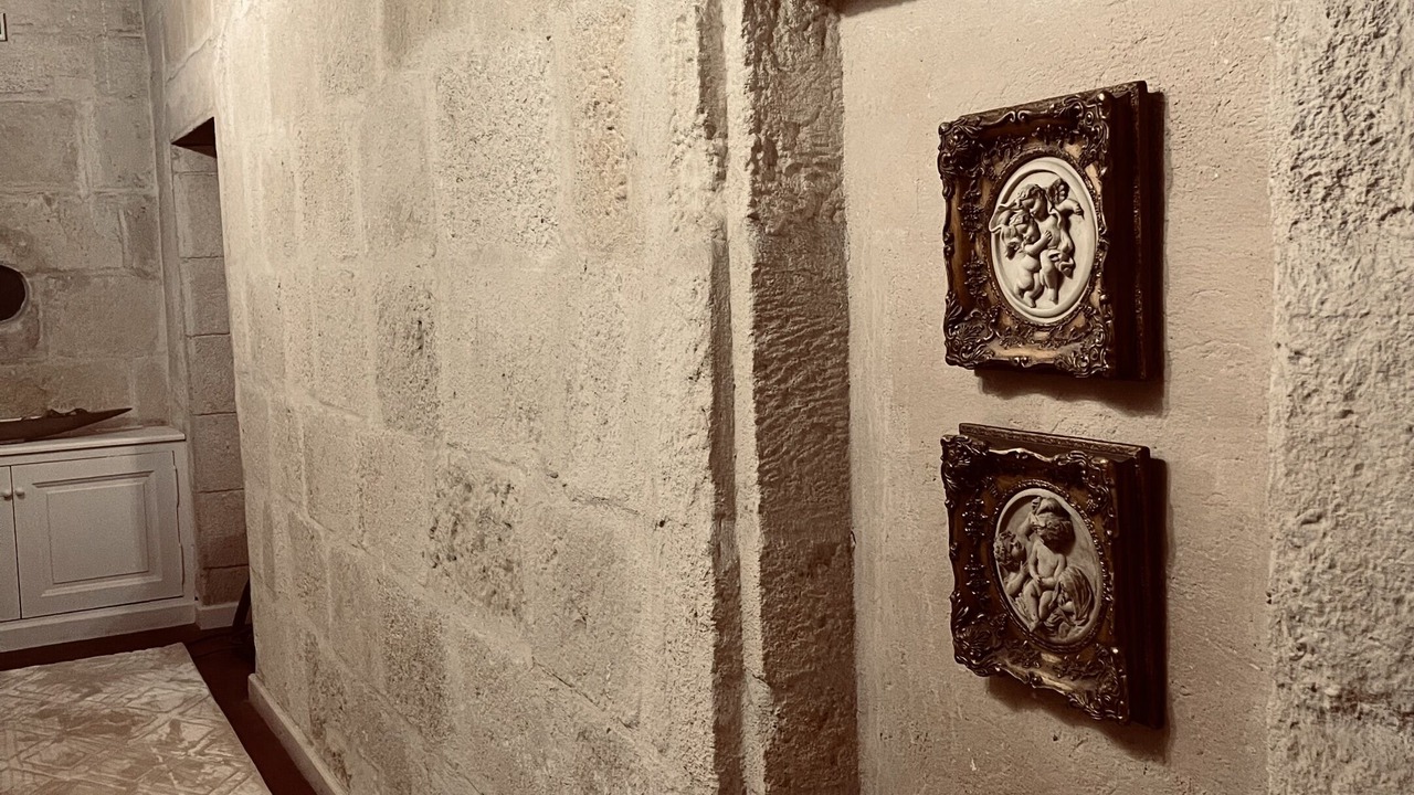 Photo of Others in Aigues-Mortes Medieval City