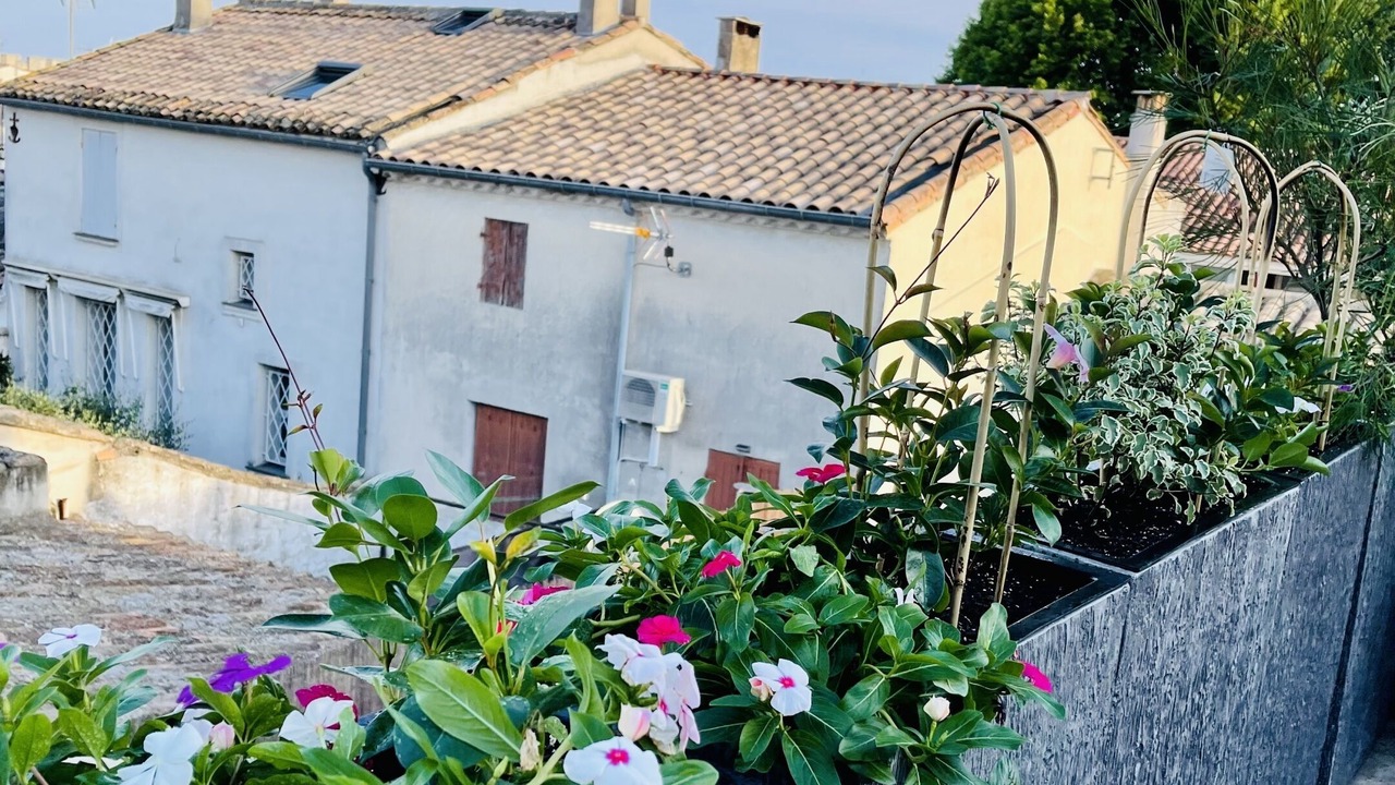 Photo of Outdoor in Aigues-Mortes Medieval City