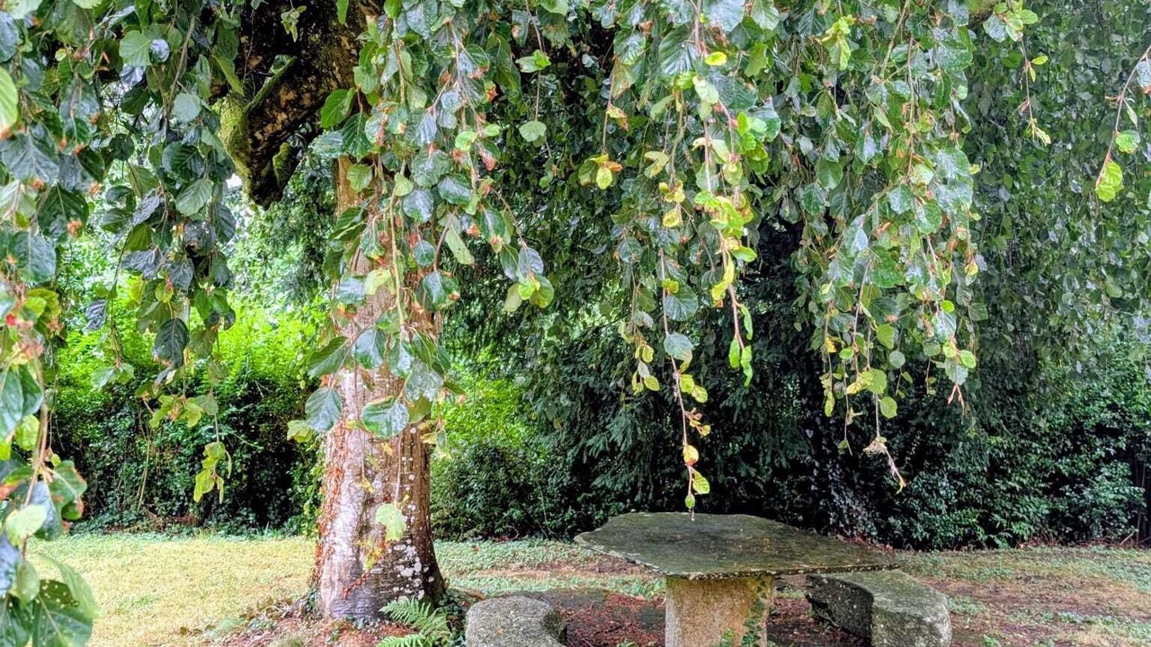 Photo of Outdoor in Plouegat-Moysan