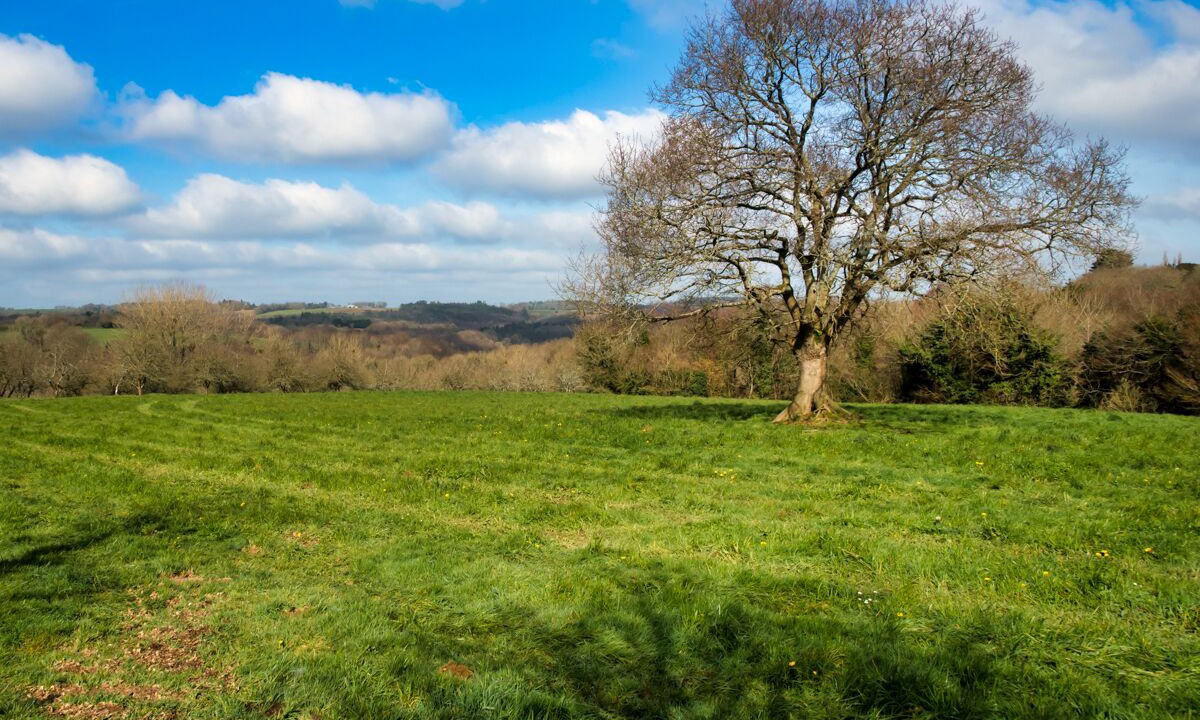 Photo of Others in Plouegat-Moysan