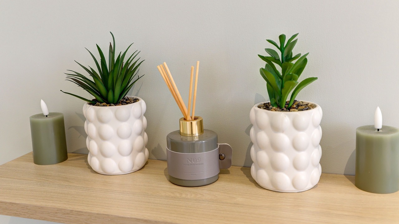 Photo of Others in Montlucon