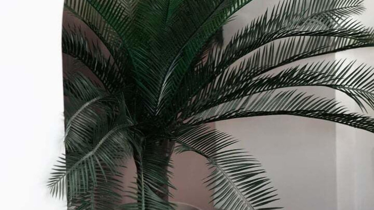 Photo of Others in Quartier Sainte-Marguerite