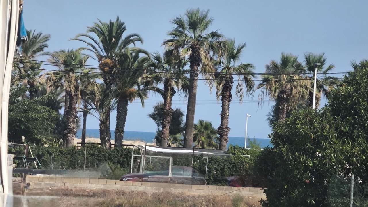 Photo of Outdoor in El Grao de Castellon