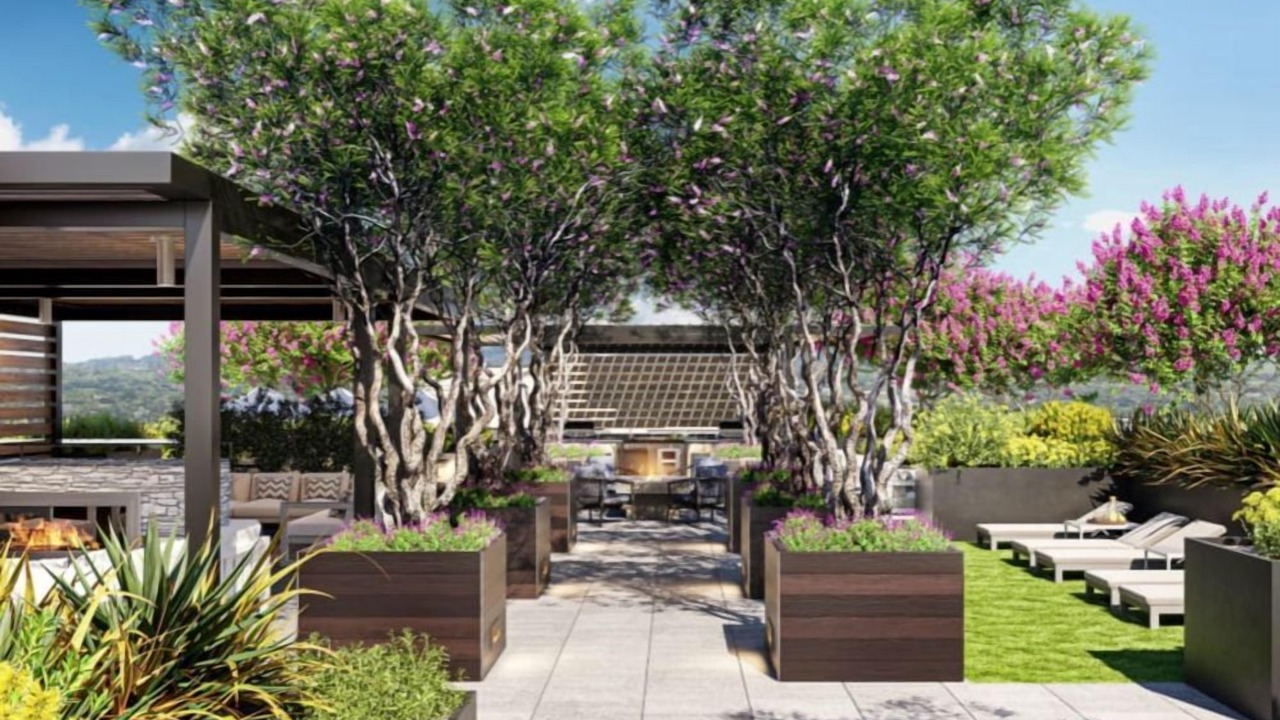 Photo of Outdoor in Burlingame