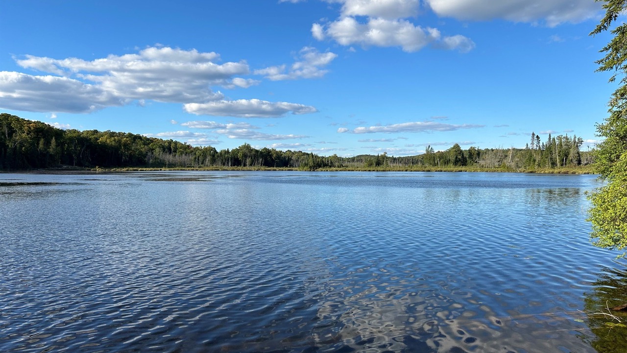 Photo of Outdoor in Hastings Highlands