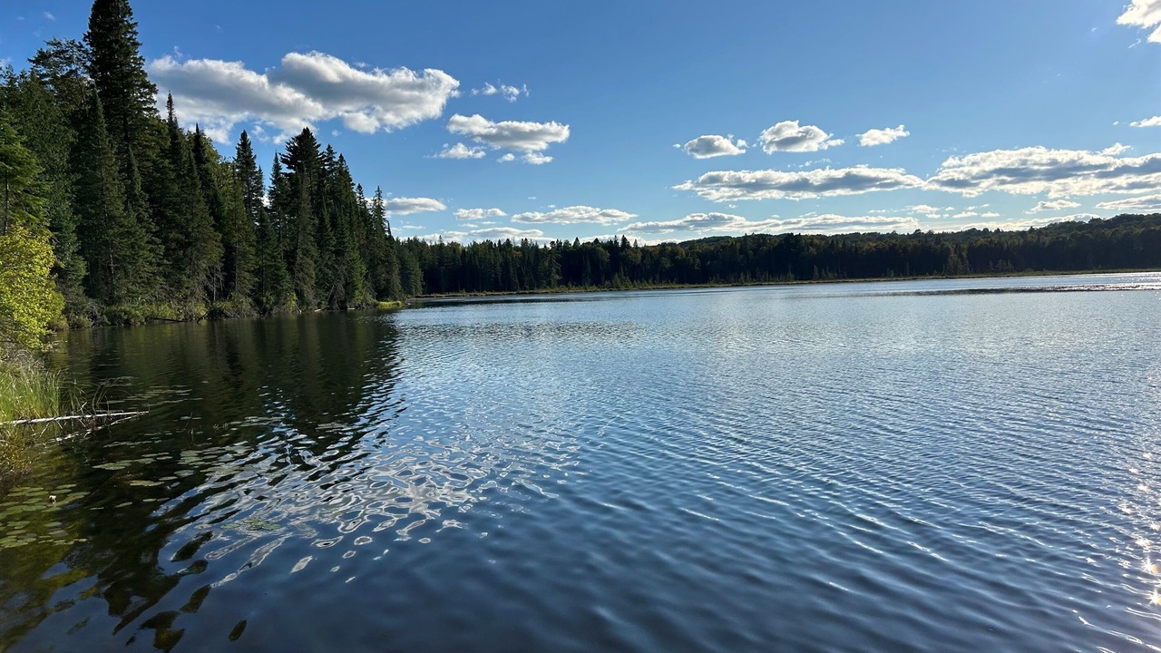 Photo of Outdoor in Hastings Highlands