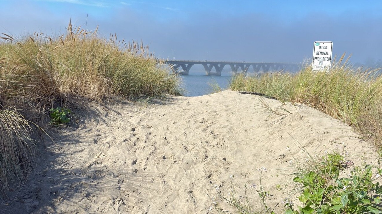 Photo of Others in Waldport