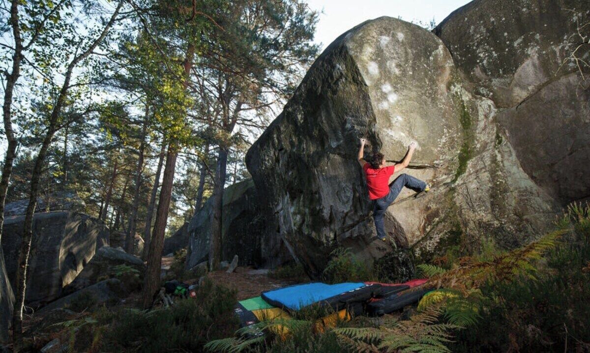 Photo of Others in Arbonne-la-Foret