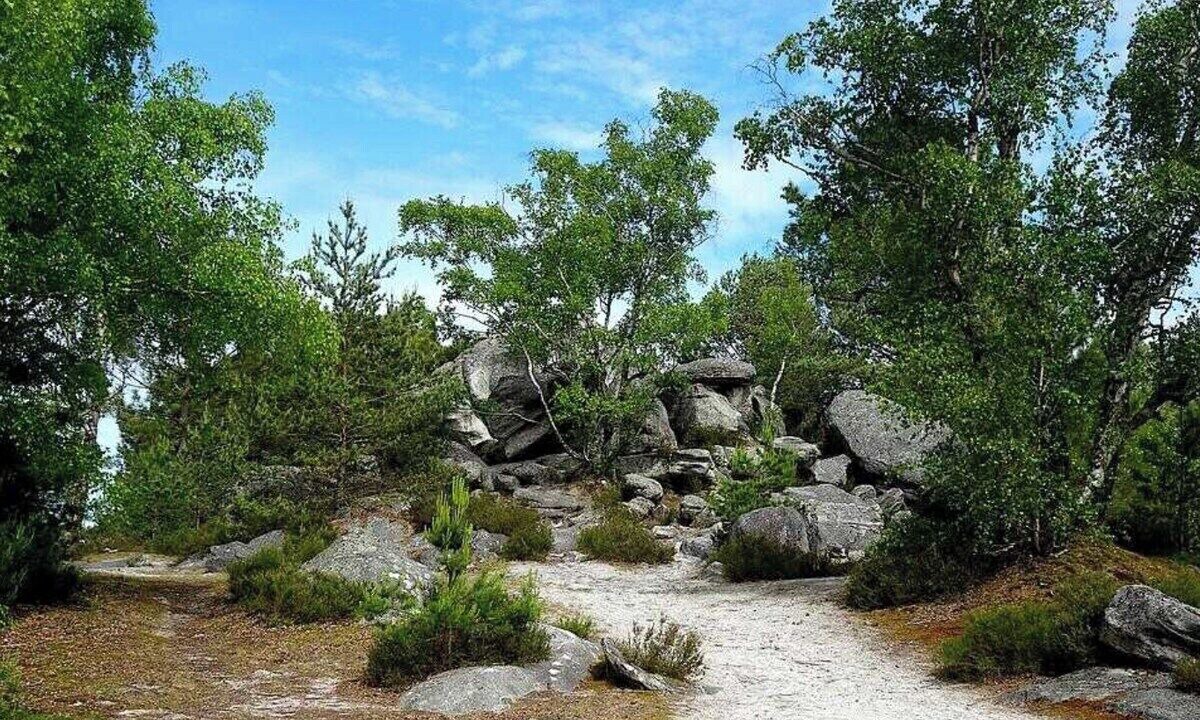 Photo of Others in Arbonne-la-Foret