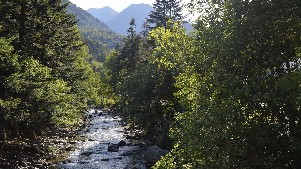 Photo of Others in Aragnouet