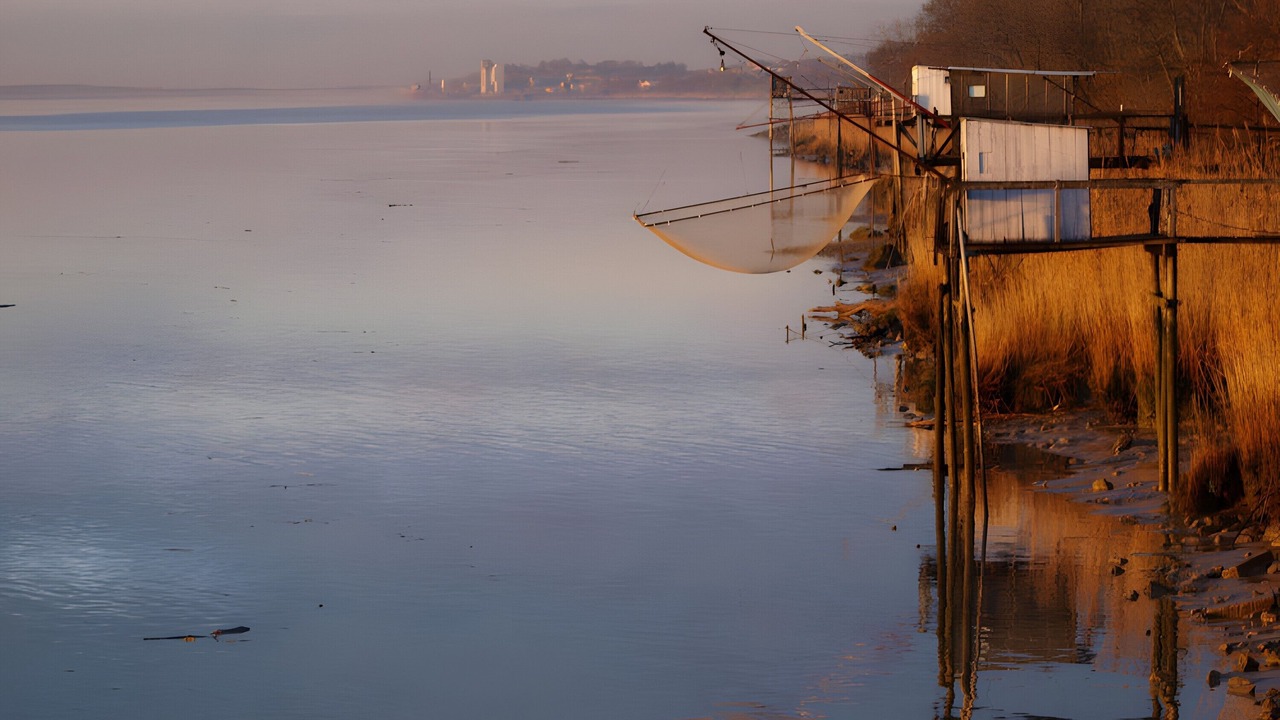 Photo of Others in Gauriac