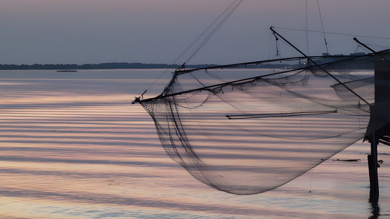 Photo of Others in Gauriac