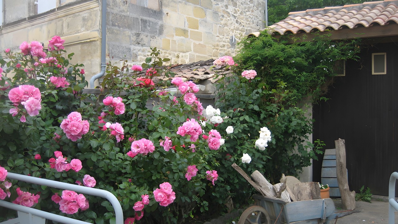 Photo of Outdoor in Gauriac