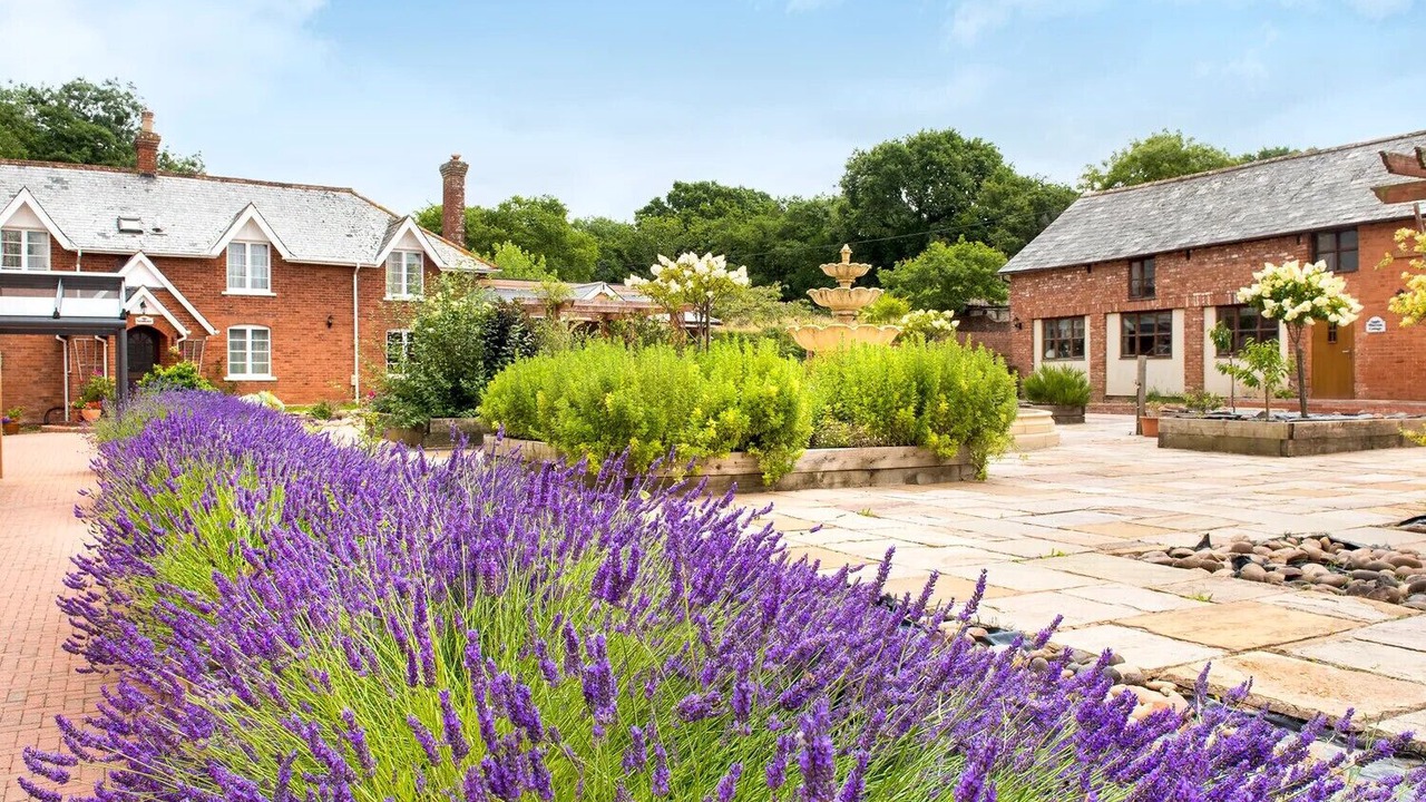 Photo of Outdoor in Bicton