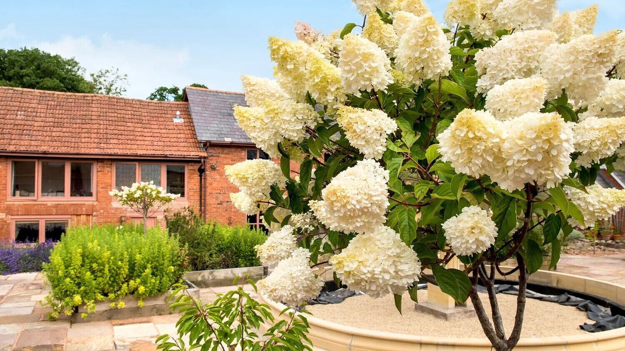 Photo of Outdoor in Bicton