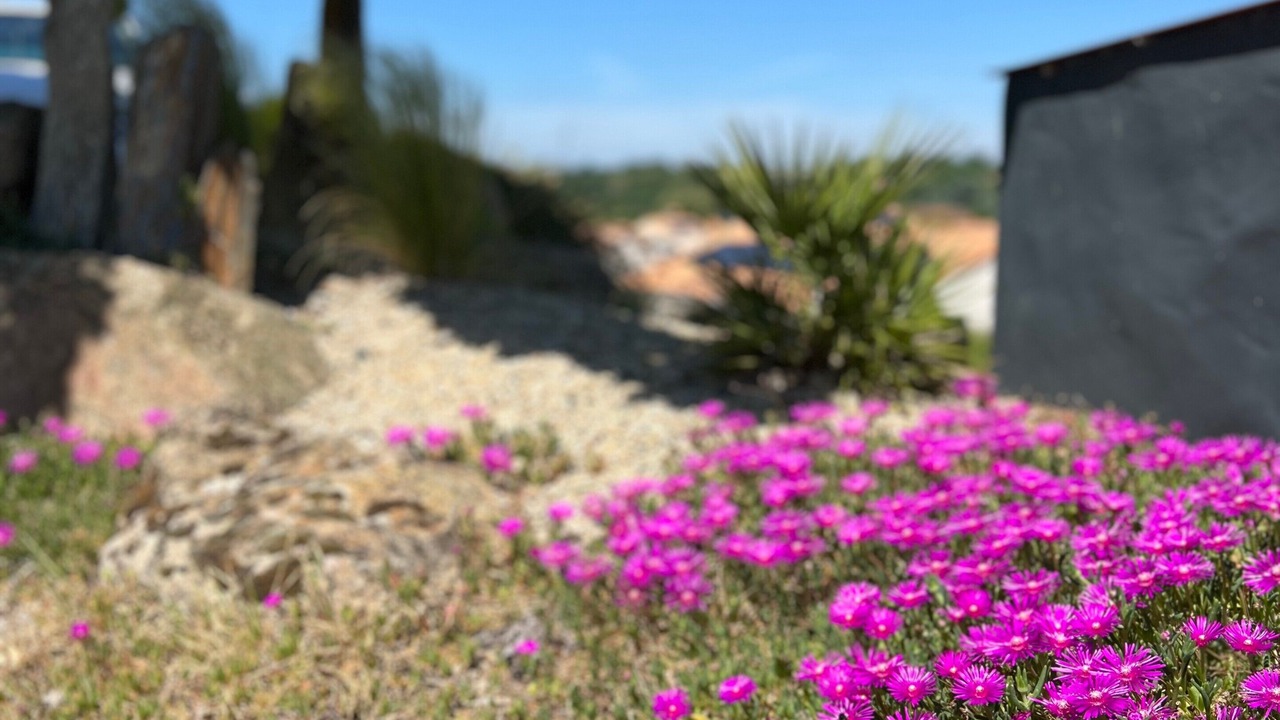 Photo of Outdoor in Montfaucon-Montigne