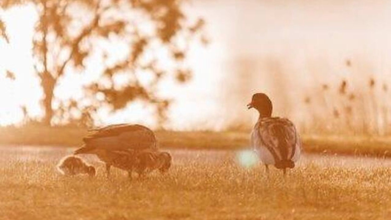 Photo of Outdoor in Eaglehawk