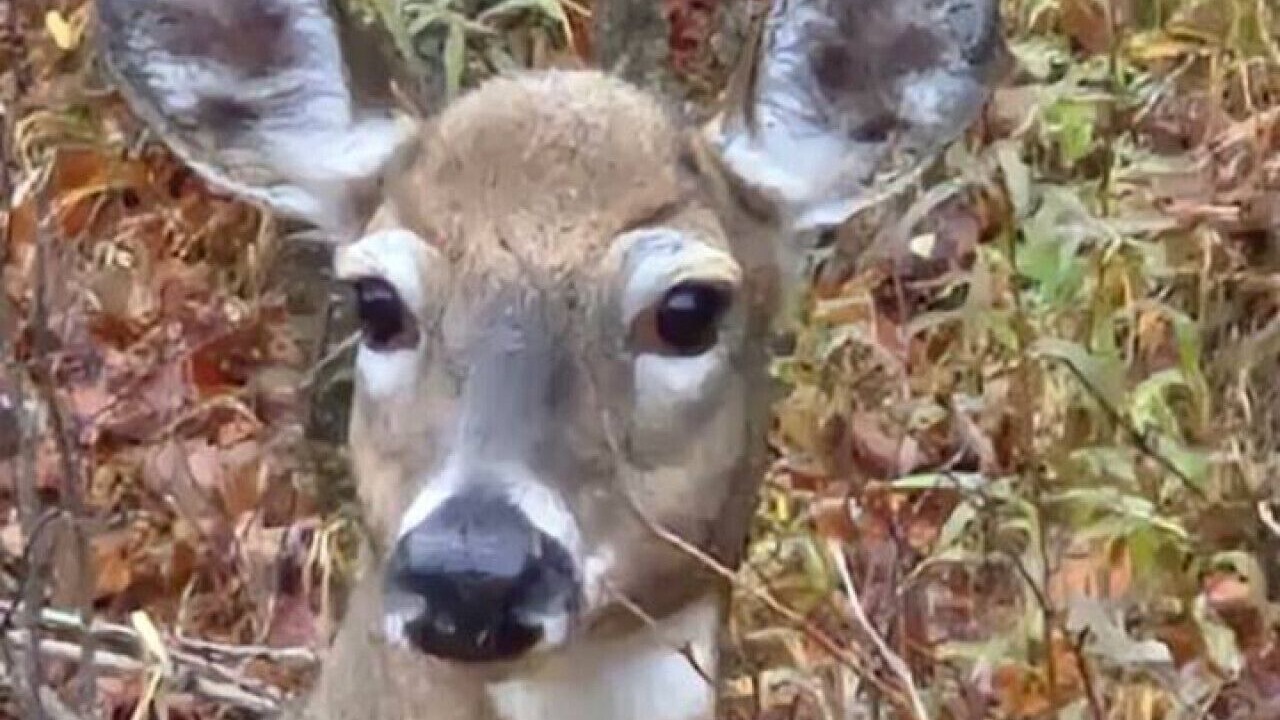 Photo of Others in Pittsburg