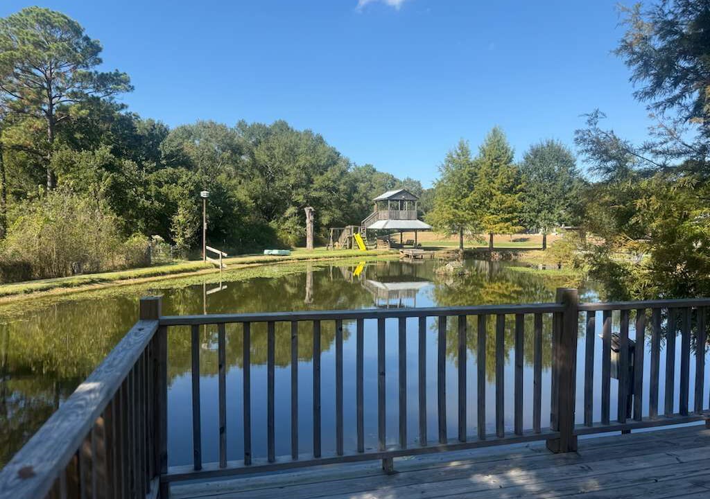 Photo of Outdoor in Tomball