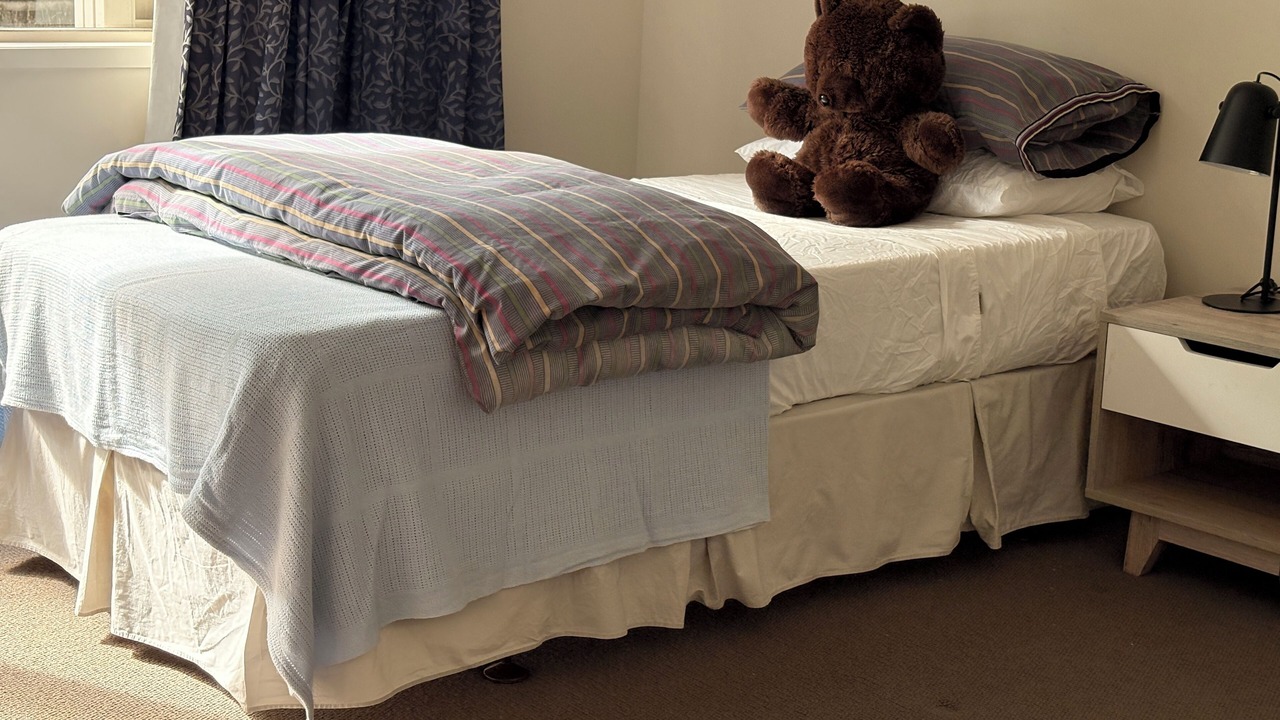 Photo of Bedroom in Parnell