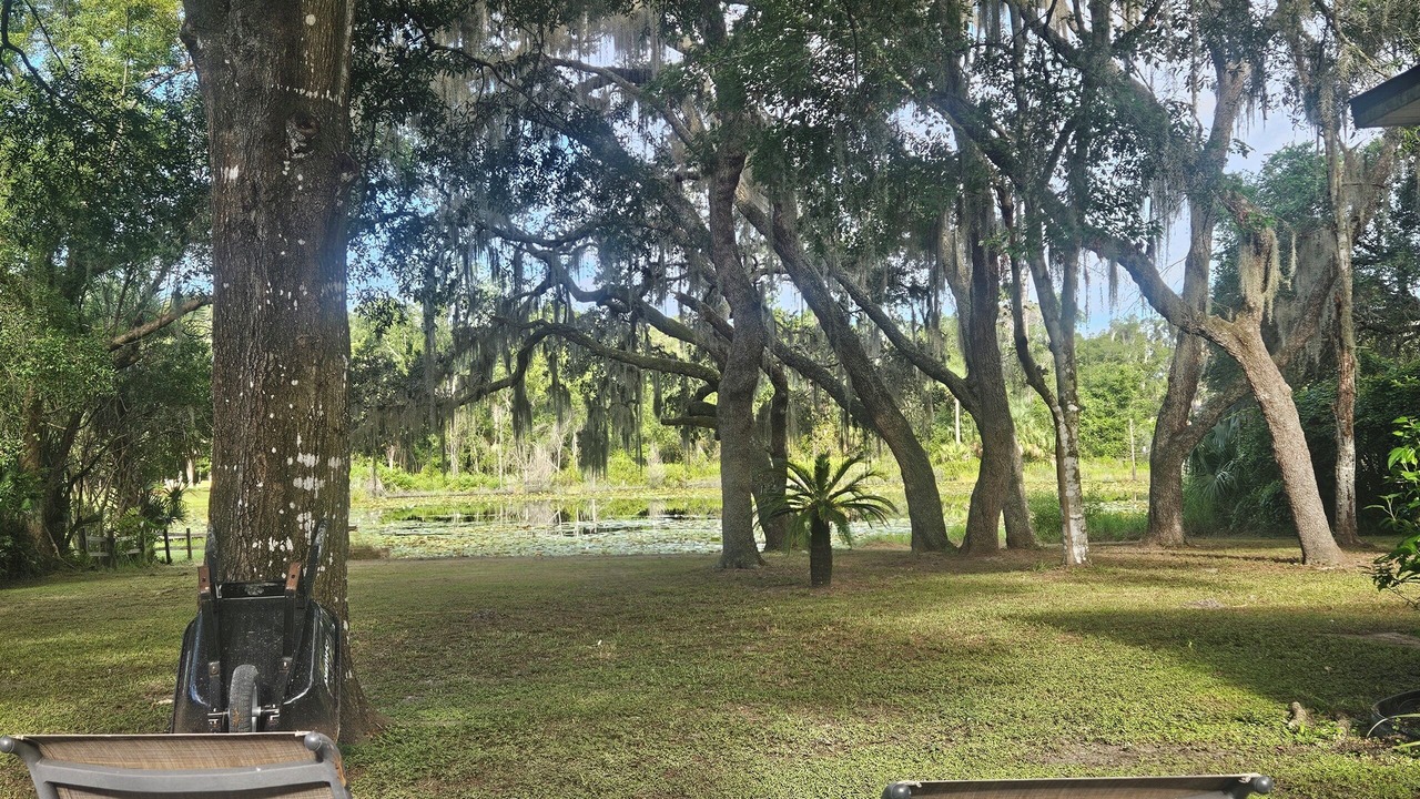 Photo of Outdoor in Lake Helen