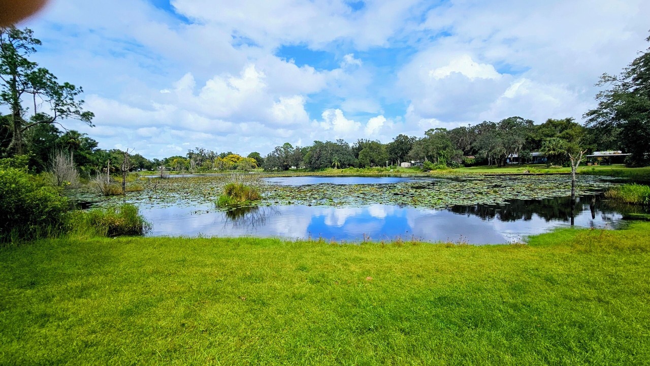 Photo of Others in Lake Helen