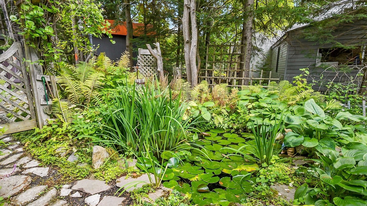 Photo of Outdoor in Perry