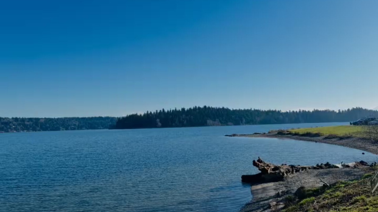 Photo of Others in Mount Baker