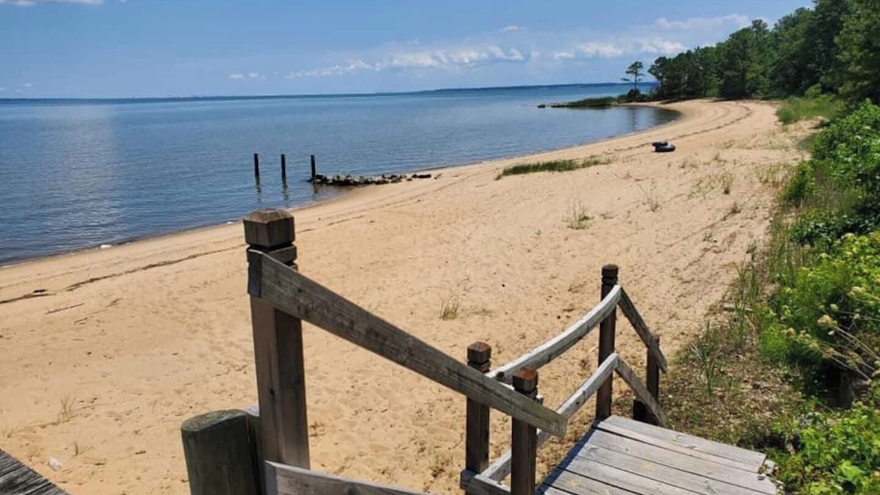 Photo of Others in Rushmere