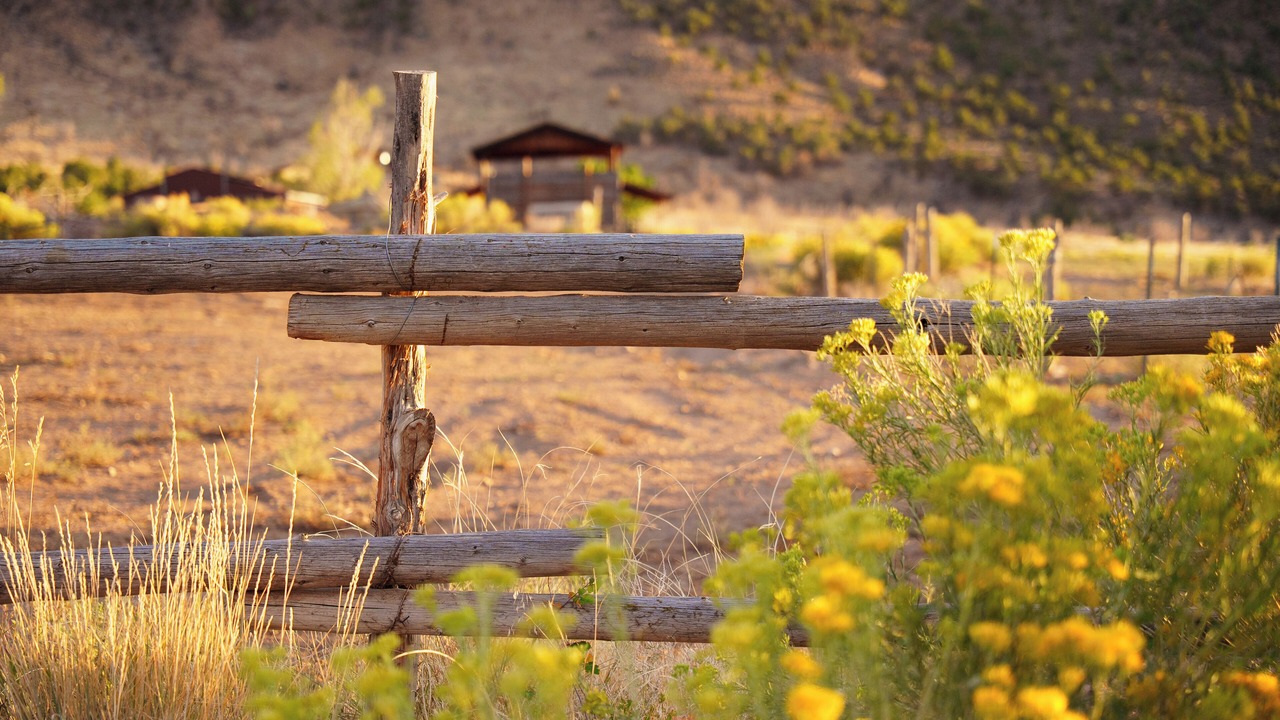 Photo of Others in Spanish Valley