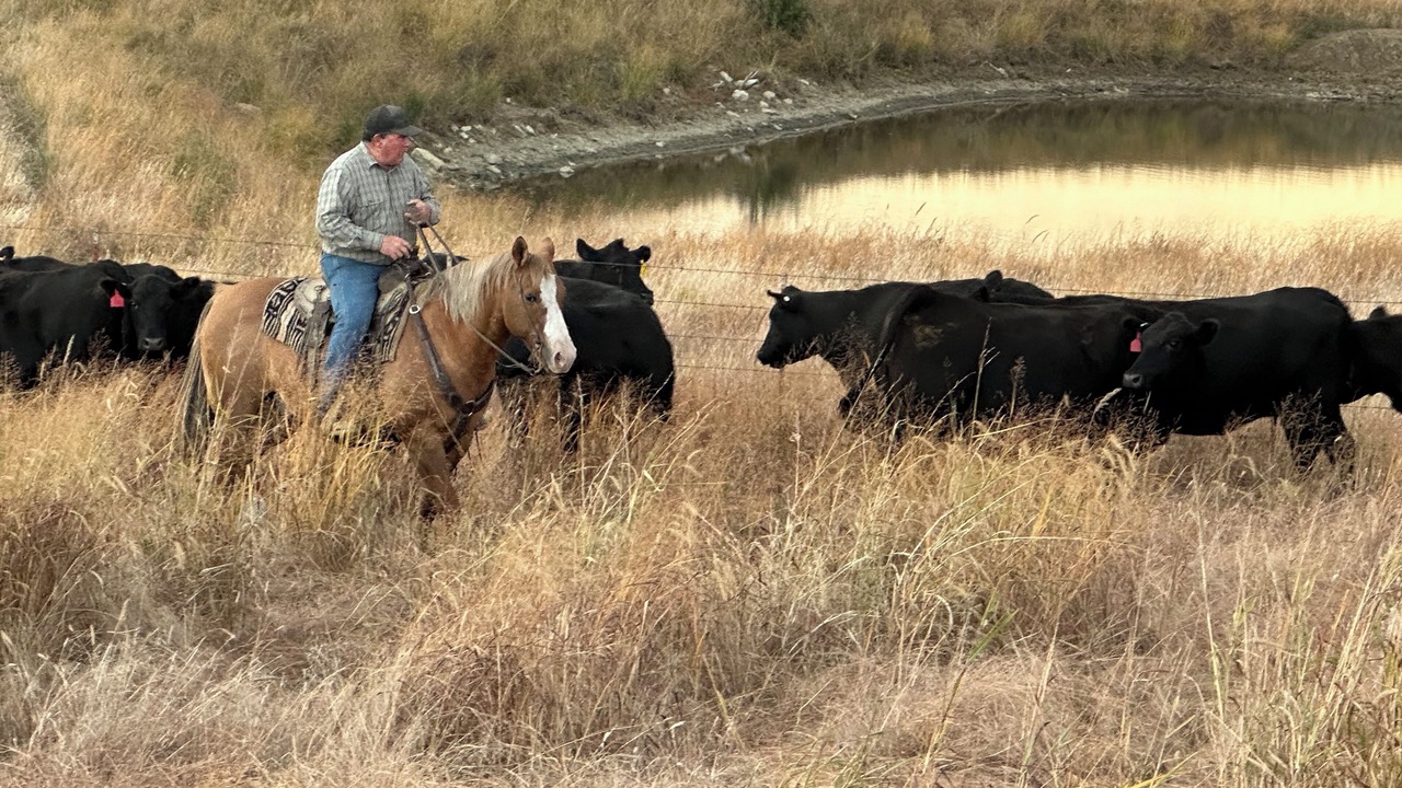 Photo of Others in Elk County