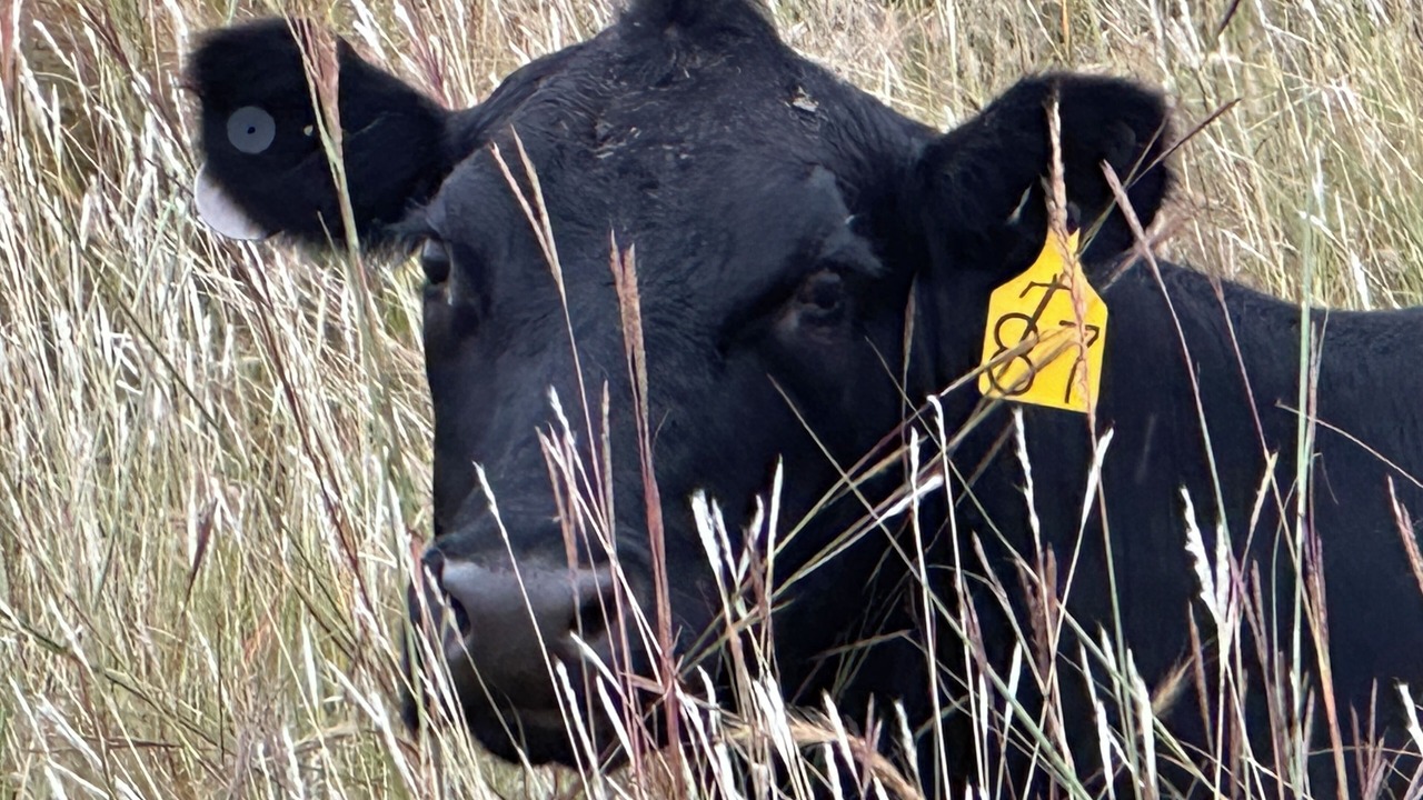 Photo of Others in Elk County