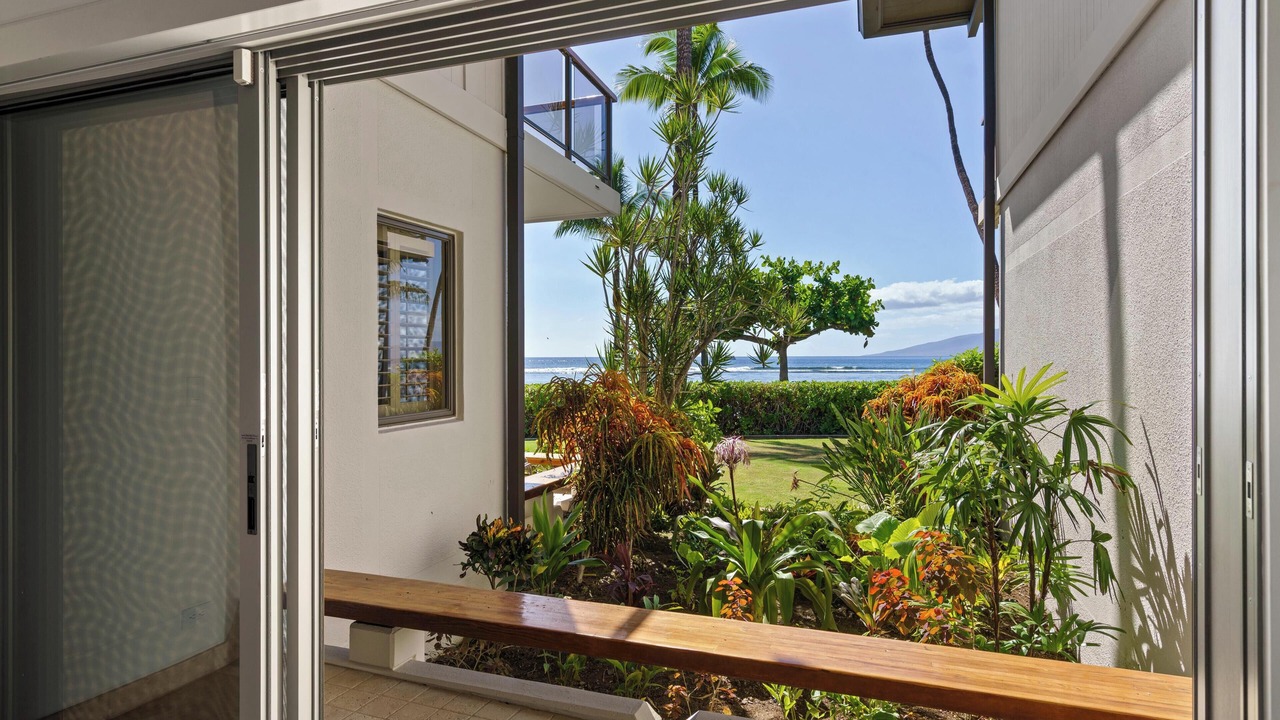 Photo of Others in Historic Lahaina Front Street