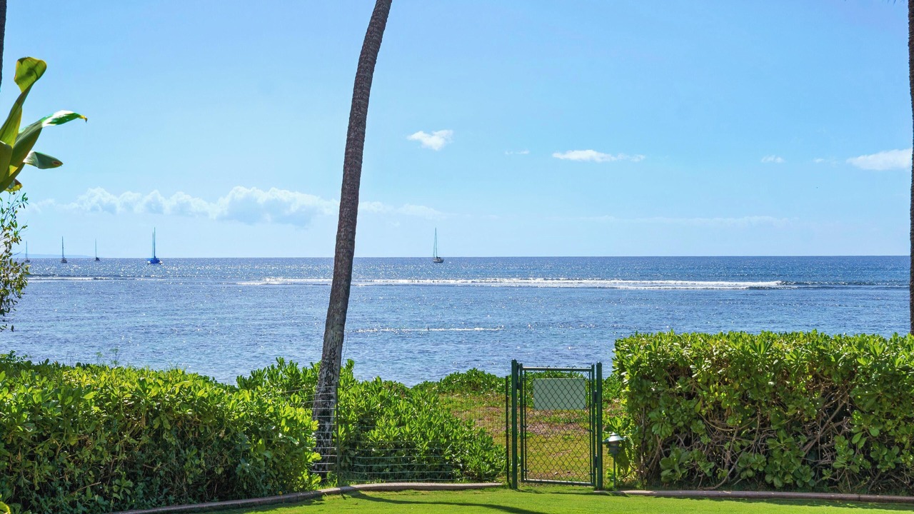 Photo of Others in Historic Lahaina Front Street