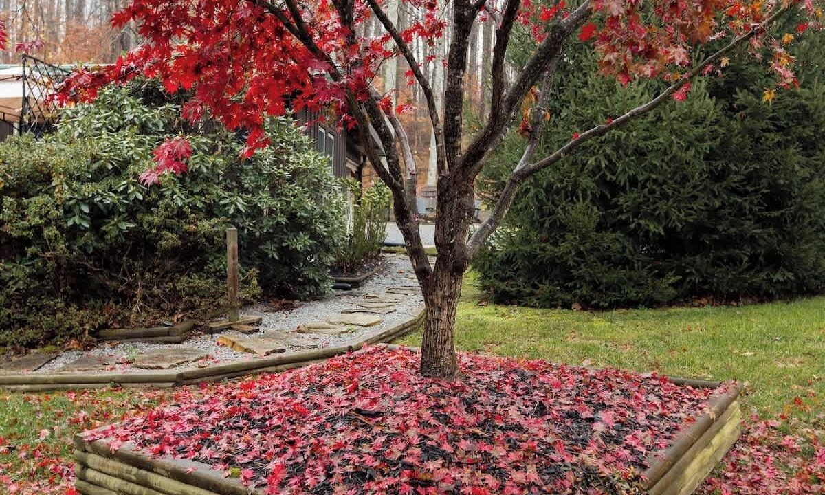 Photo of Outdoor in Piney Flats