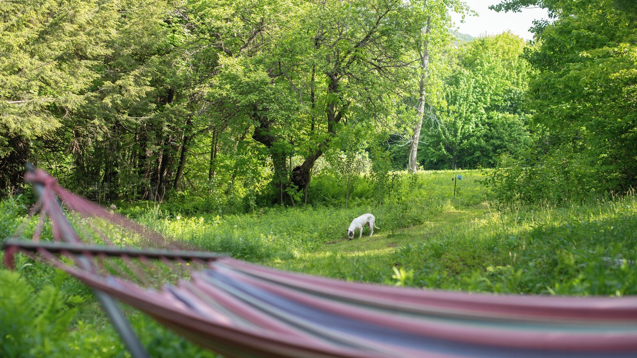 Photo of Outdoor in Marlboro