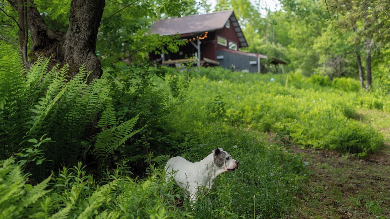 Photo of Outdoor in Marlboro